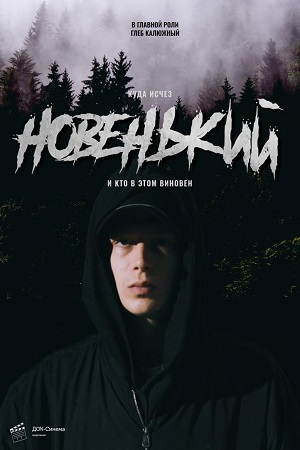 Новенький (сериал, 1-2 сезоны, все серии)
